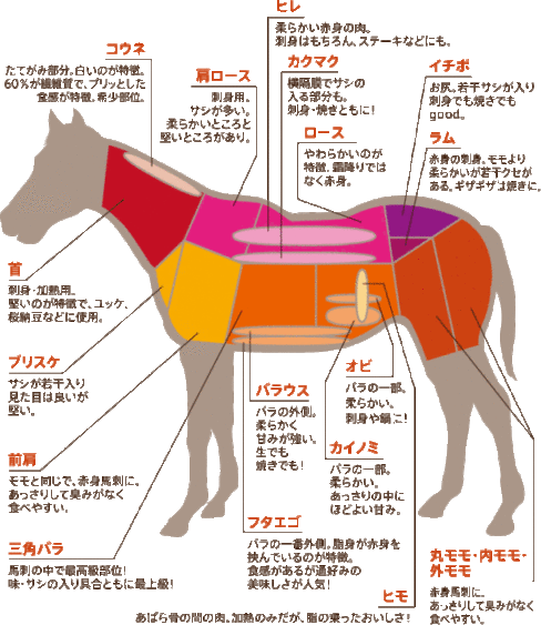 馬のお肉部位の図